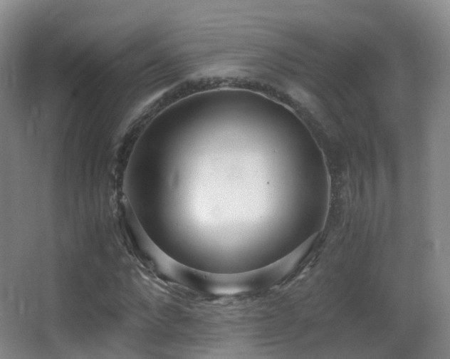 X0000062880872200601131306