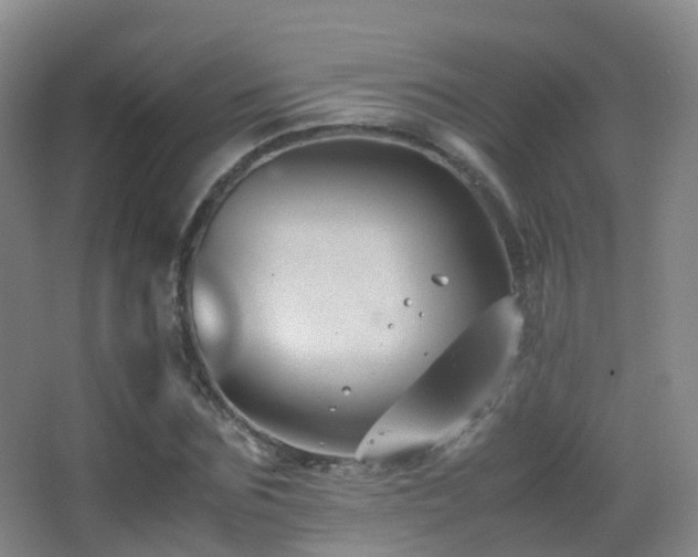 X0000062880875200601131306
