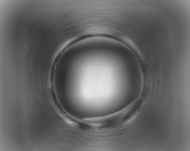X0000062880885200601131306
