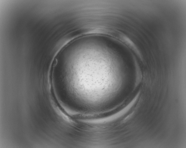 X0000062880892200601131305