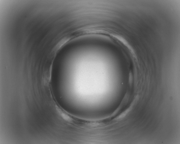 X0000062880897200601131305