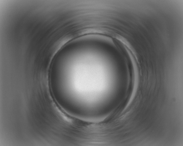 X0000062880898200601131305