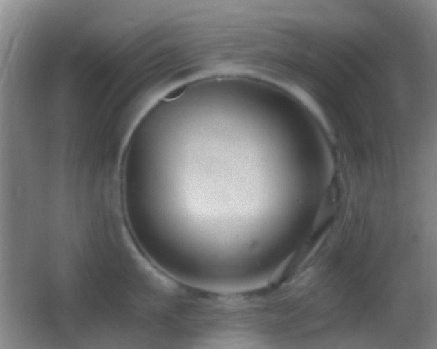 X0000062880911200601131305