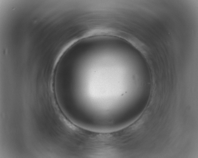 X0000062880912200601131305