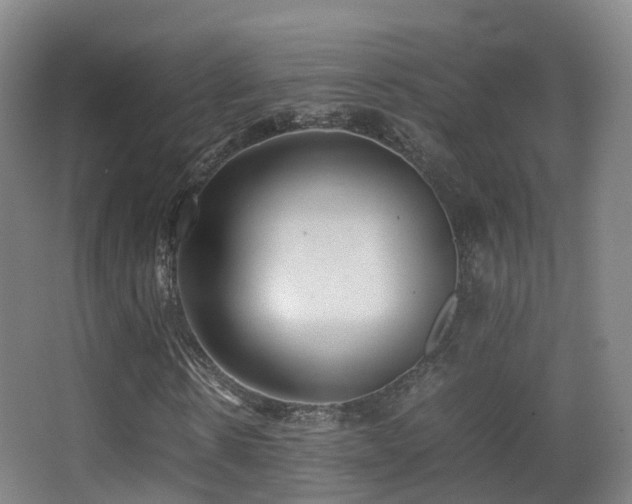 X0000062880914200601131304