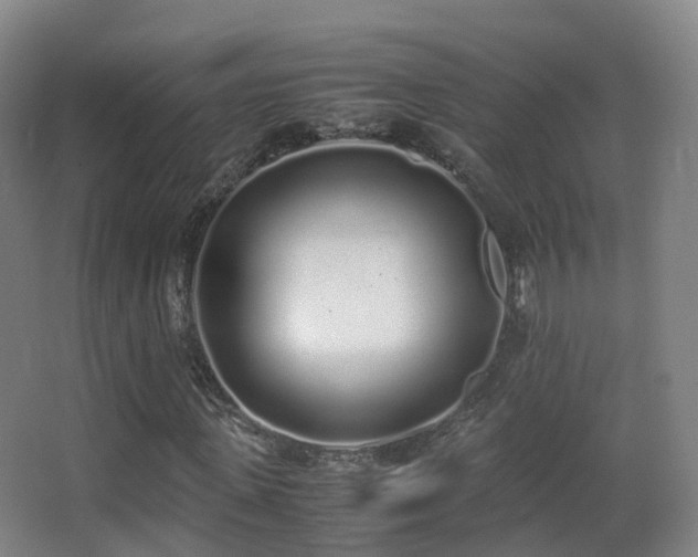 X0000062880915200601131304