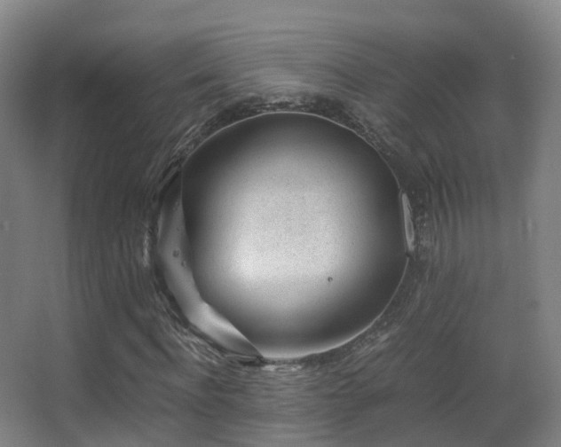 X0000062880916200601131304