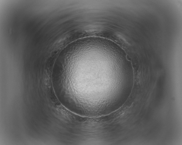 X0000062880917200601131304
