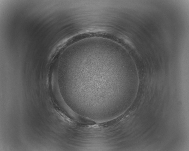 X0000062880920200601131304