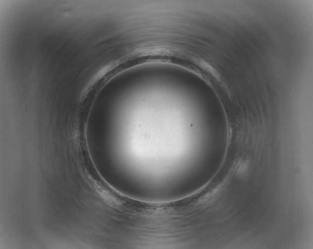 X0000062880922200601131304