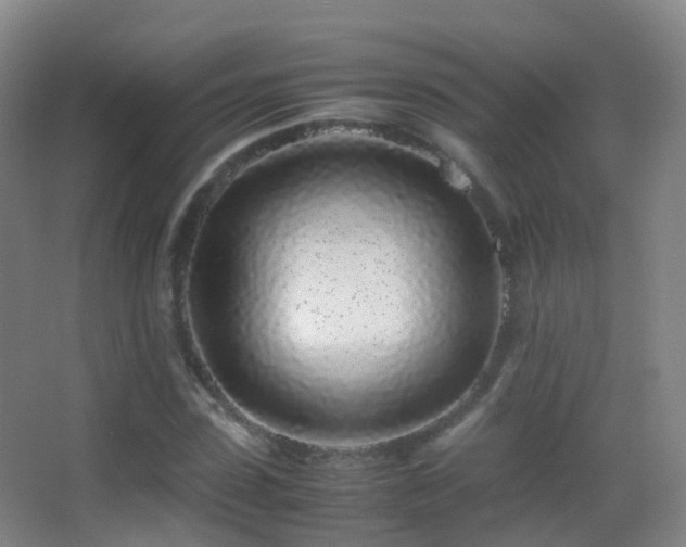 X0000062880923200601131304