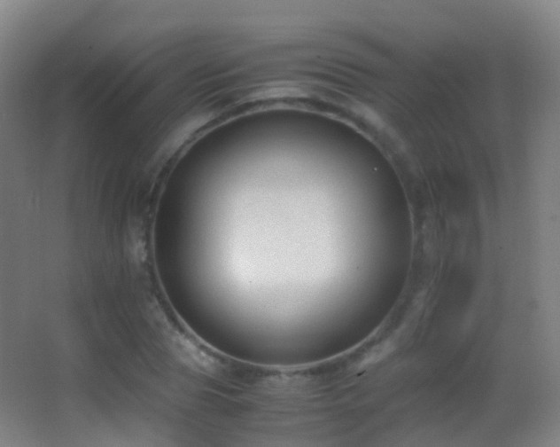 X0000062880929200601131305