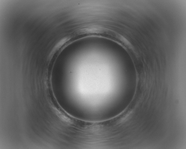 X0000062880930200601131305