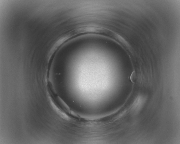 X0000062880938200601131305