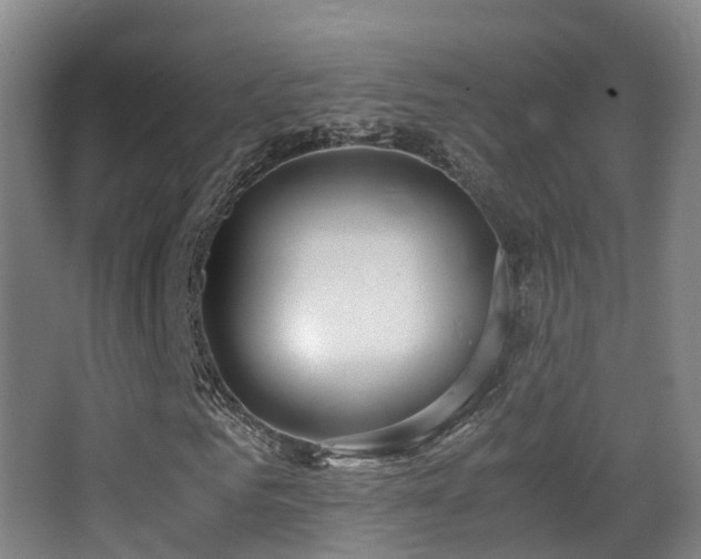 X0000062880961200601131304