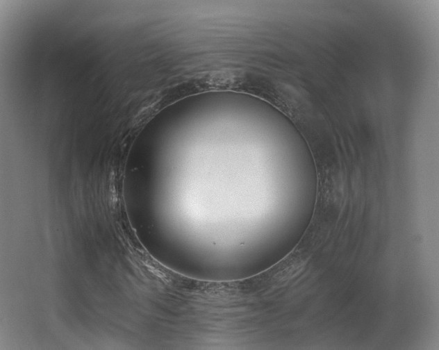 X0000062880962200601131304
