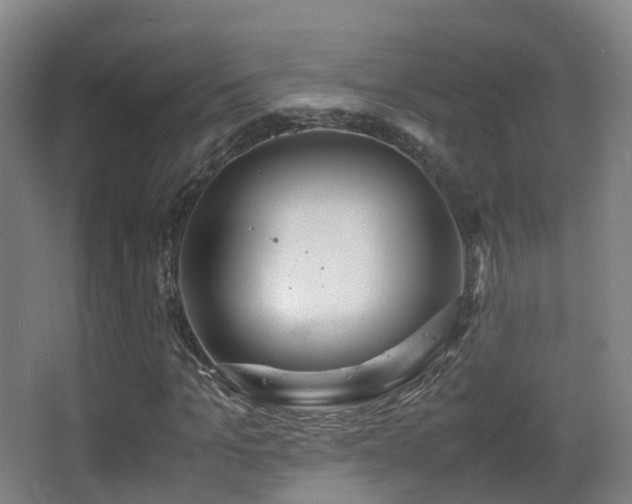 X0000062880965200601131304