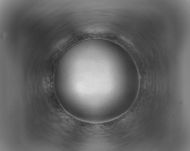 X0000062880966200601131304