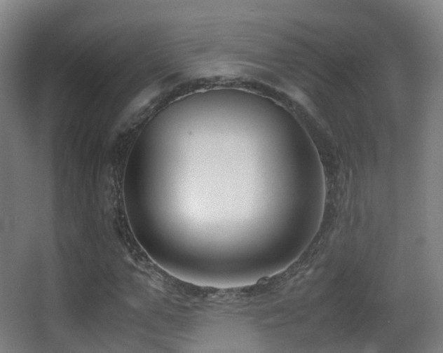 X0000062880967200601131304