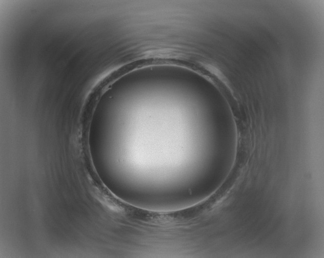 X0000062880971200601131304