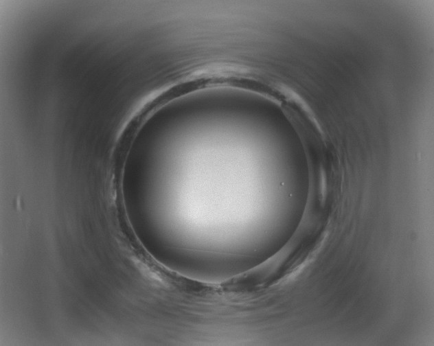 X0000062880973200601131304