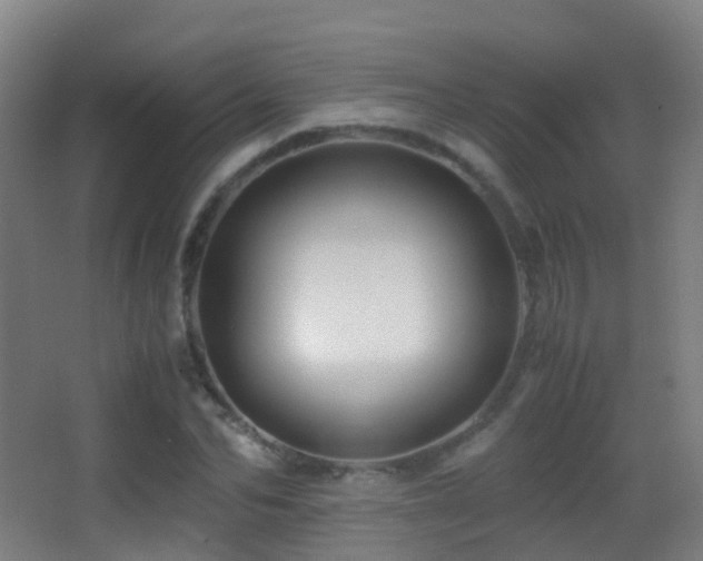 X0000062880974200601131304