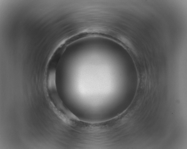 X0000062880976200601131304