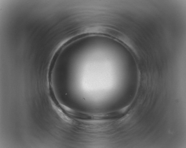 X0000062880980200601131304