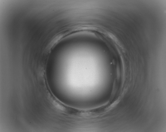 X0000062880985200601131304