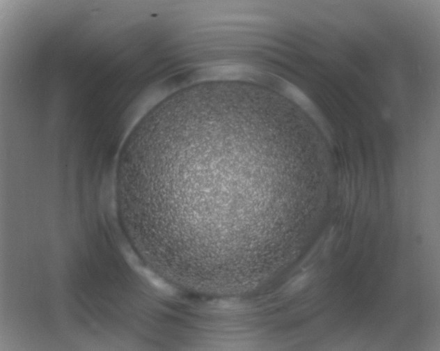 X0000062880994200601131304
