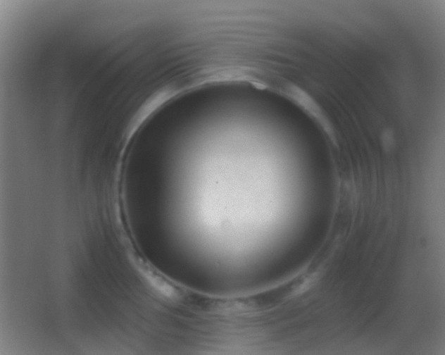 X0000062881002200601131304