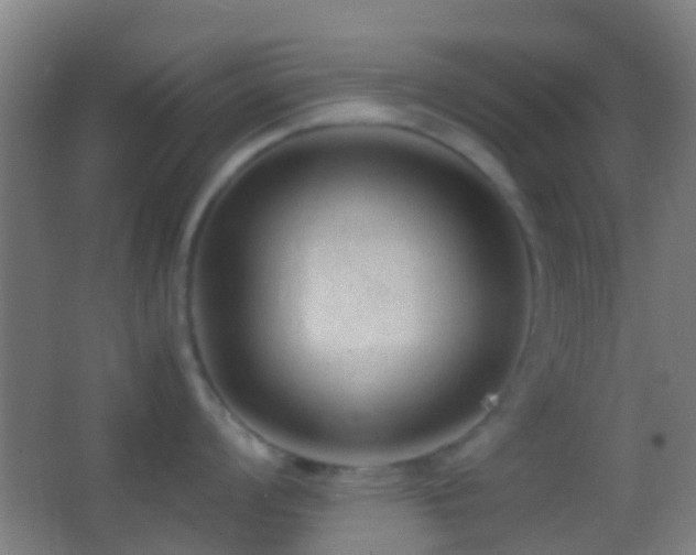 X0000062881008200601131303