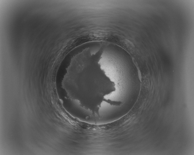 X0000062881009200601131303