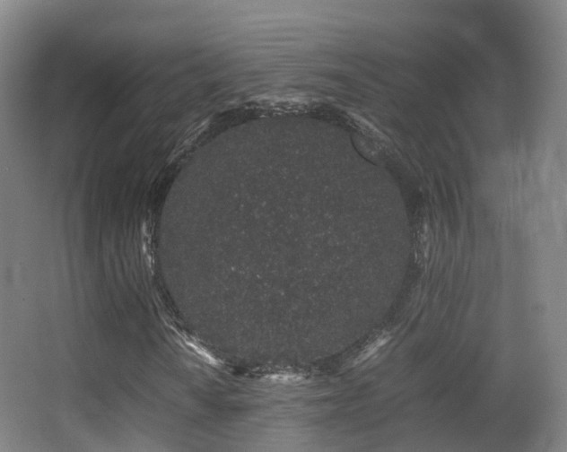 X0000062881010200601131303