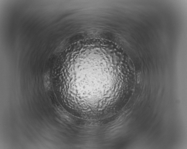 X0000062881011200601131303