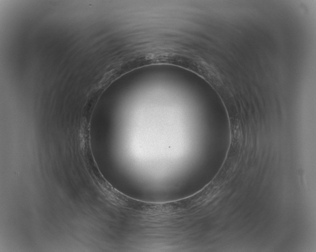 X0000062881012200601131303