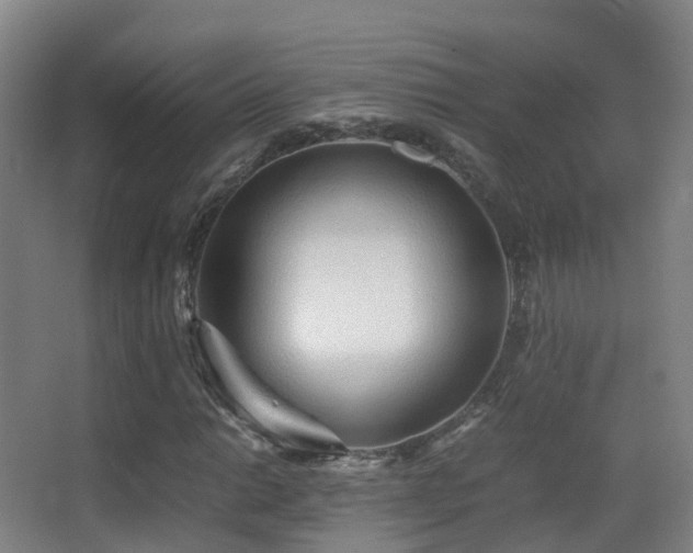 X0000062881014200601131303