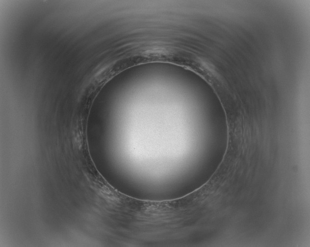 X0000062881015200601131303