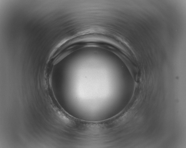 X0000062881018200601131303
