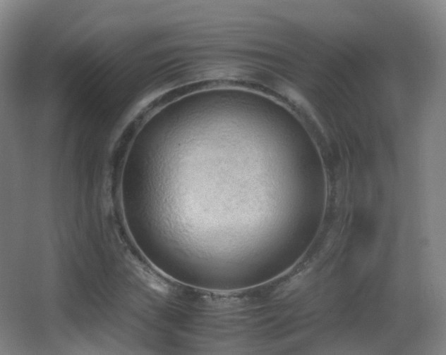 X0000062881019200601131303