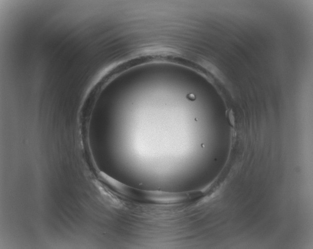 X0000062881022200601131303