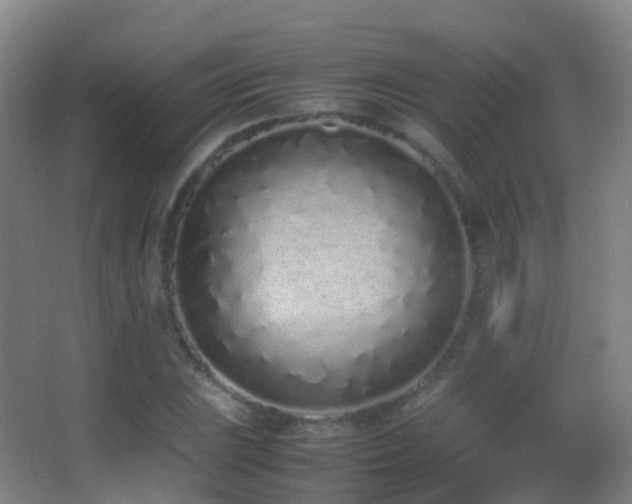 X0000062881023200601131303