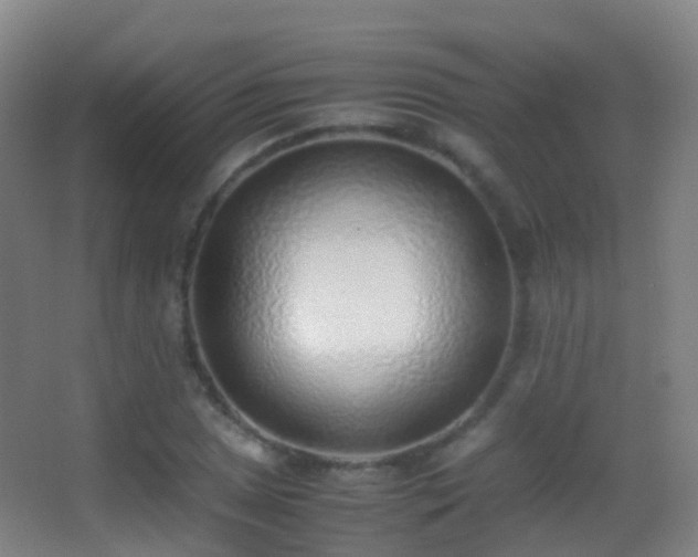 X0000062881025200601131303