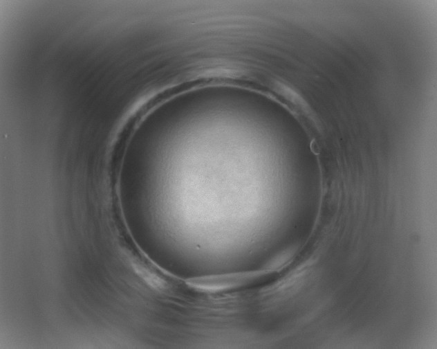 X0000062881027200601131303