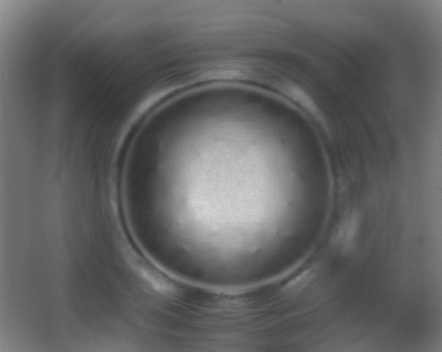 X0000062881035200601131303