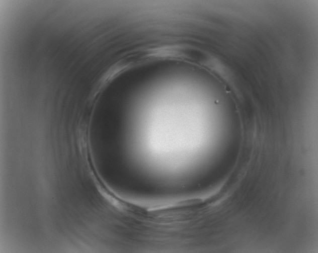 X0000062881049200601131303