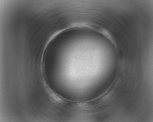 X0000062881052200601131303