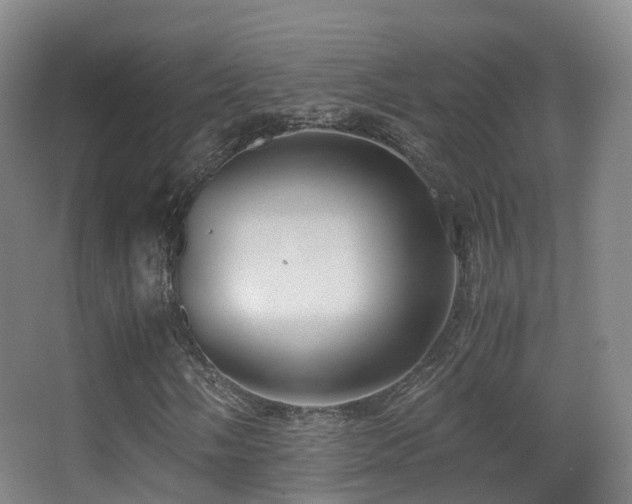 X0000062881058200601131303