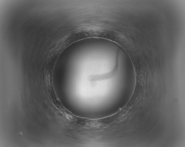 X0000062881061200601131303
