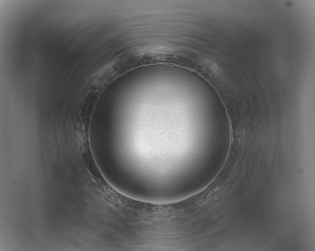 X0000062881062200601131303
